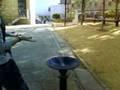 videos de La fuente...Loca?