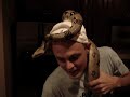 whynatte snakes on a plane style