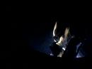 OCF 04, Saturday Night -- Village Fire Circle 4