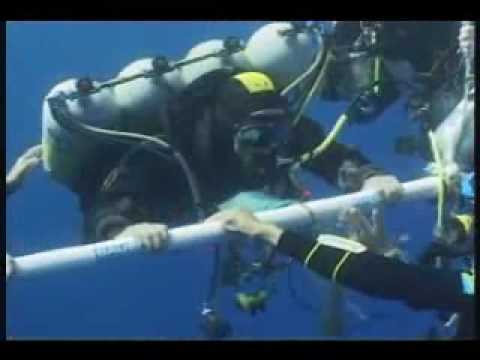 World Record Dive 318,25 m  - Nuno Gomes.