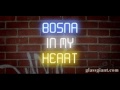 Bosanci nemogu bez Bosne