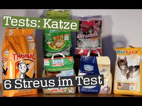 Der ultimative Katzenstreu Test | 6 Streus im großen Praxistest