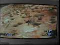 Motorstorm-Crashes-2