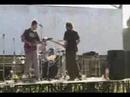 Guaren con distemper - los ni�os