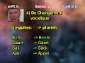 apprendre luxembourgeois (astrid et j�r�me lulling) #20 - pluriel
