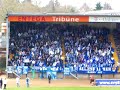 Die Lilien gehen niemals unter Die Lilien gehen niemals unter