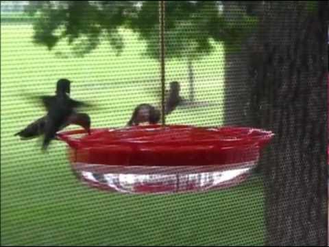 how to make hummingbird feeder not leak