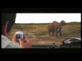 Video screenshot