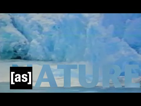 Off The Air - Nature