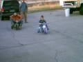 videos de sds card 09-2008 835