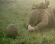 the trench