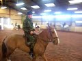 Tacey on a horse 2 Tacey on a horse 2