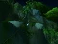 Canker - World of Warcraft -oldschool