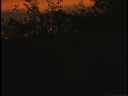 Woodward 08 Woodward 08