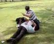 videos de Mapache Bolita