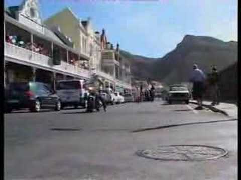 Just Nuisance - Simon's Town SA