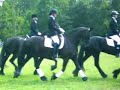 friese paarden dag