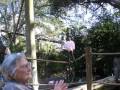 Visit to Busch Gardens - January 6, 2009