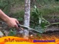 ทดสอบ มีดเดินป่า มีดโบวี่ จอมพราน2 www thknife com - YouTube