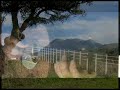 Gringo Flamenco - Tarantas del Norte