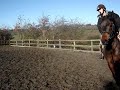 Had him 2 years :) this is a one in a million pony .