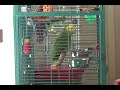 Piper Sings Along with Susie Tallman