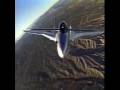 Turbofan Killer Bee: Rutan ARES Mudfighter for US Army Close Air Support