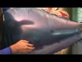 Air Swimmers Instructional Video