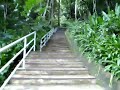 MOV01706