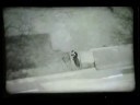 TROOID - Enema TROOID - Enema