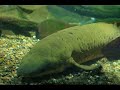 Save the Mary River rally Sept 6