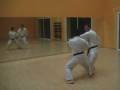 videos de Bunkai Heian Sandan,Shotokai,José Cáceres