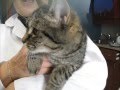 videos de Princesse