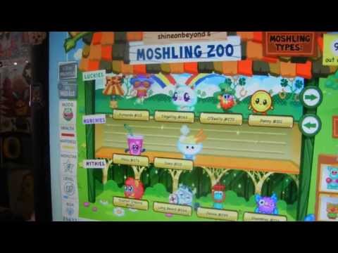 how to grow scarlet o'haira on moshi monsters