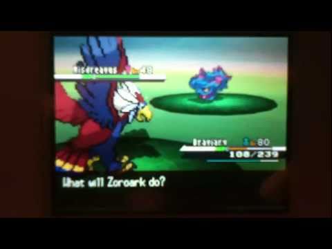 Murkrow