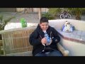 High On Salvia 40x
