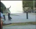 xoxe skate tortosa