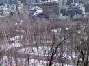 More Montreal