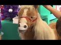 Attend.TV - Spirit of Christmas - Toy Horse attend.tv