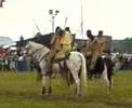 crazy riders en  carriere