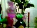 videos de entravista frutada a boggyto