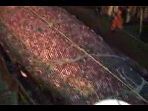 SNORRI STURLUSON VE 28