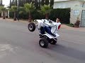 wheelies ali yfs