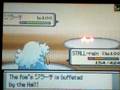 videos de Guyu Vs Gandalay46