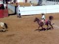 videos de Patadon a Charro