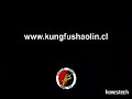 Shaolin Chan Chile (COMBATES)