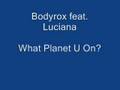 Bodyrox feat. Luciana - What Planet U On?