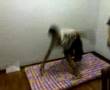 Jin Wu Men [Funny]