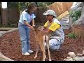 Exhibiciones Fauna y Accion