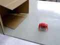 バンダイのカニロボ「HEX BUG Crab」暗がりでの動作